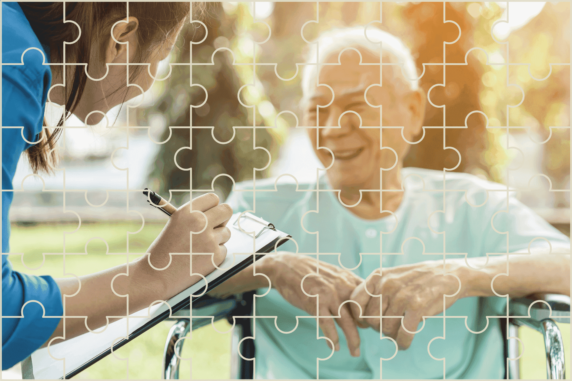 Alzheimer's and Brain Health: A Guide for Medical Professionals ...